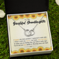 To My Beautiful Granddaughter | 14k White Gold Locked Circles Necklace Standard Box